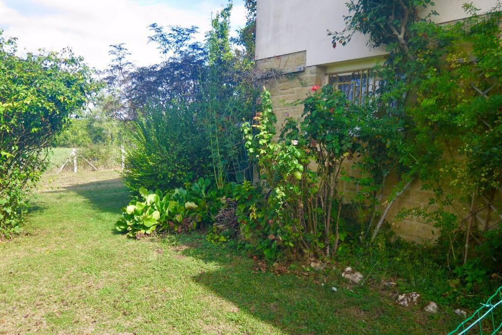 Les Petits Self Contained 2 Bedroom Apartment Molieres (Dordogne) Exteriér fotografie